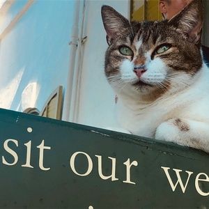 Meet your Posher, Joanna